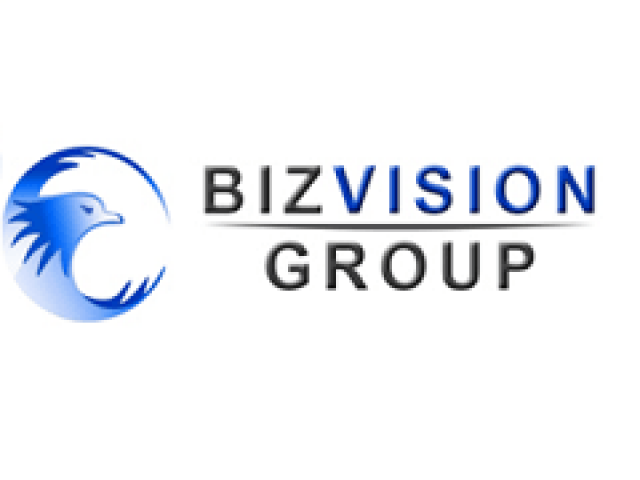 Biz Vision – Corporate Services Review