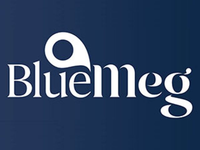 BlueMeg – Corporate Services Review