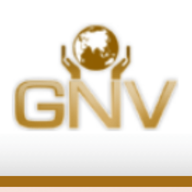 GNV Consultancy – Corporate Services Review