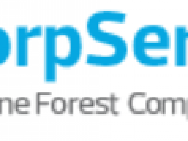 CorpServe – Corporate Services Review